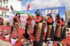 界最大黑青稞种植